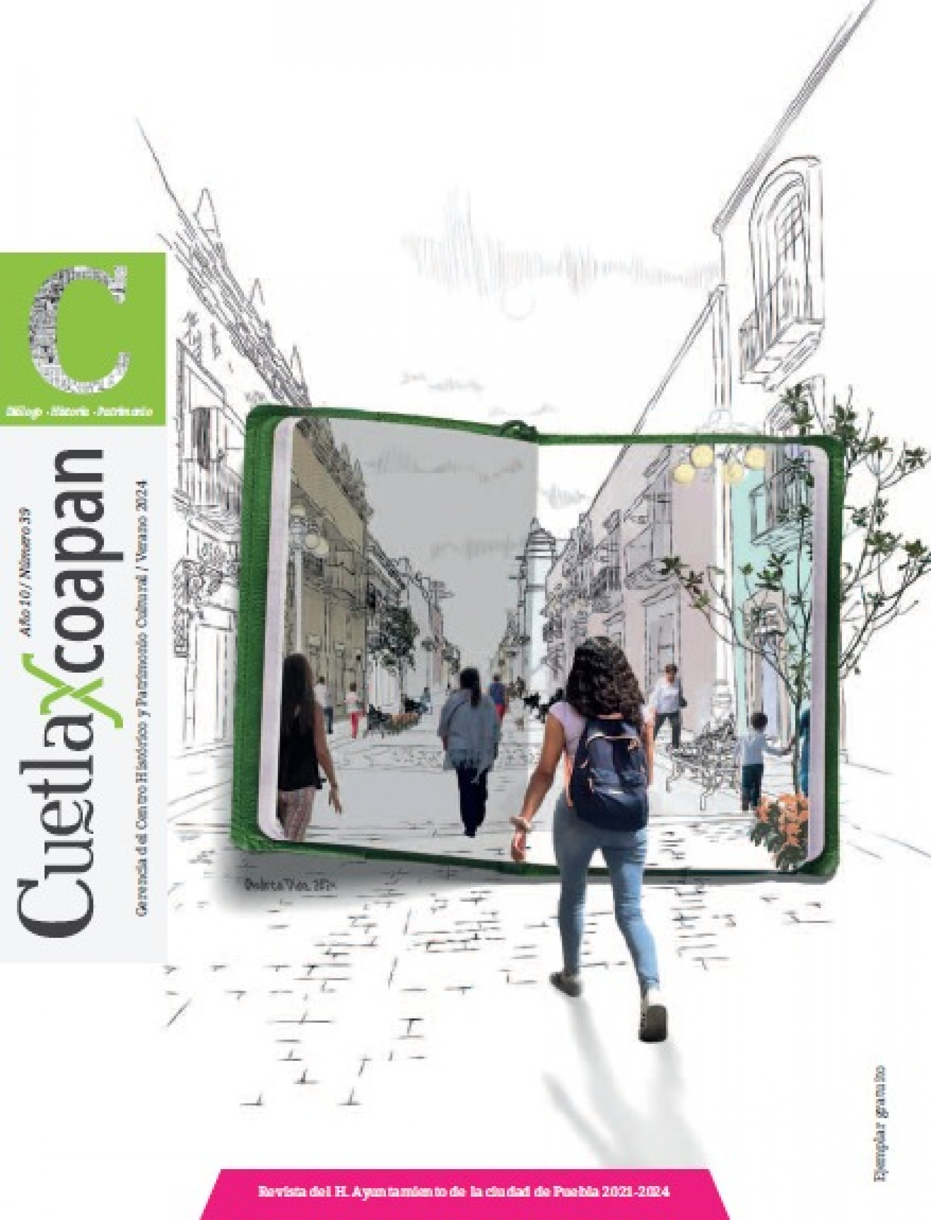 Imagen Cuetlaxcoapan 39